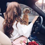 Приглашаем в сферу развлечений