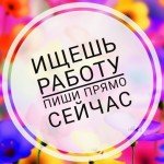 Свяжись с нами и мы научим тебя зарабатывать серьезные деньги!
