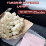 МЕДИЙНАЯ ЛИЧНОСТЬ МОДЕЛЬ