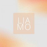 Работа Стамбул